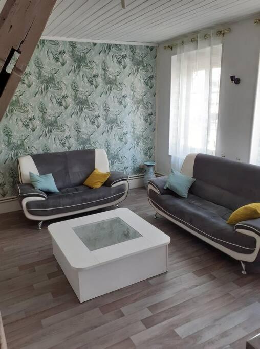 Super Logement En Plein Coeur De La Ville , Chez Tify Brienne-le-Chateau Εξωτερικό φωτογραφία